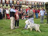 Grande Festa della Montagna e 6° Campionato Cani Pastore per bovini 9 agosto 2009